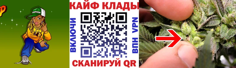 Наркота Полесск Кокаин  Бошки Шишки  Галлюциногенные грибы  ГАШ  МЕФ 