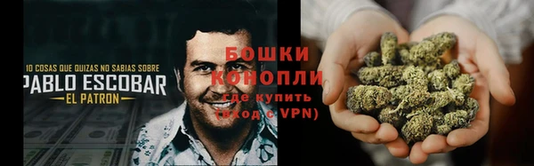 сатива Аркадак