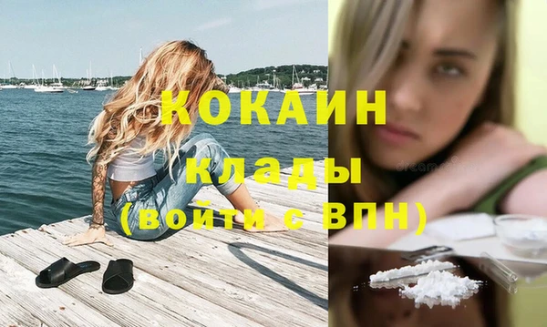сатива Аркадак