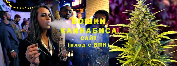 сатива Аркадак