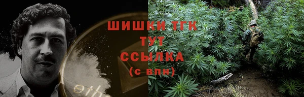 сатива Аркадак